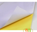 Giấy Decal trắng