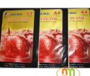 Giấy in ảnh A4 Kim Mai