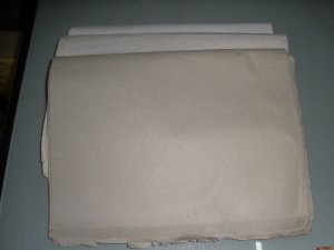 Giấy lót giày