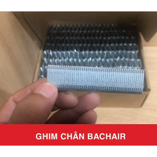 Ghim chân bachair