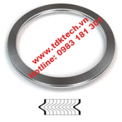 Gioăng Spiral wound gasket