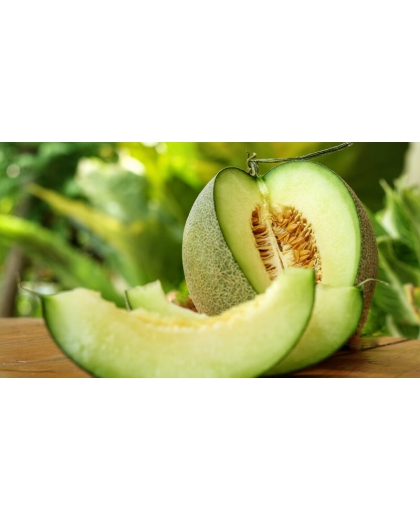 Giống dưa lưới ruột xanh