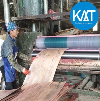 Ván ép phủ phim