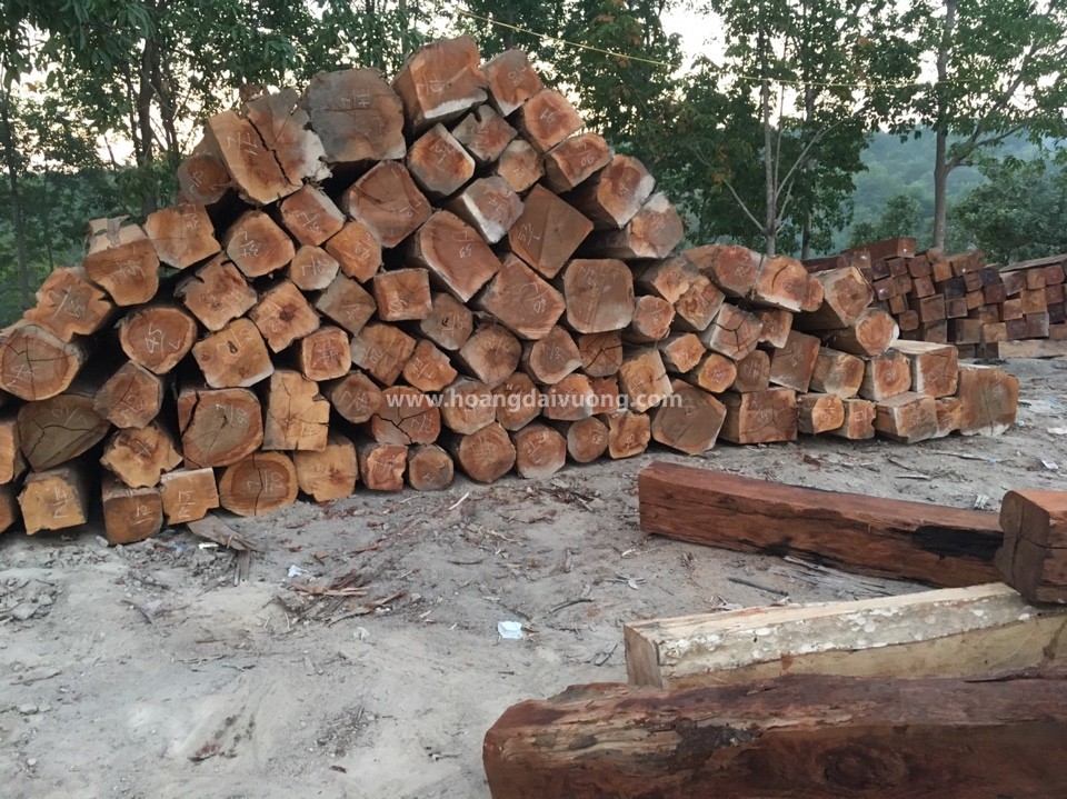 Gỗ bằng lăng