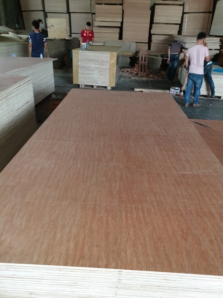 Gỗ dán