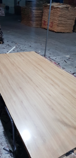 Gỗ dán phủ bóng
