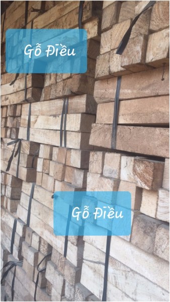Gỗ điều