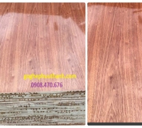 Gỗ ghép phủ VENEER xoan - keo