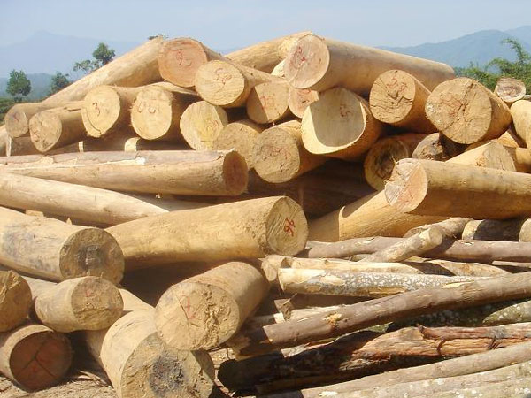 Gỗ hương