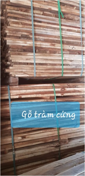 Gỗ tràm cứng