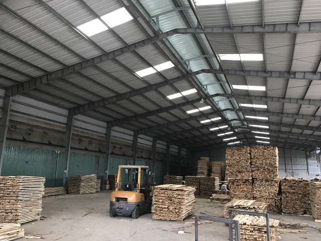 Gỗ tràm xẻ sấy