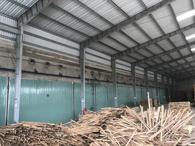 Gỗ tràm xẻ sấy