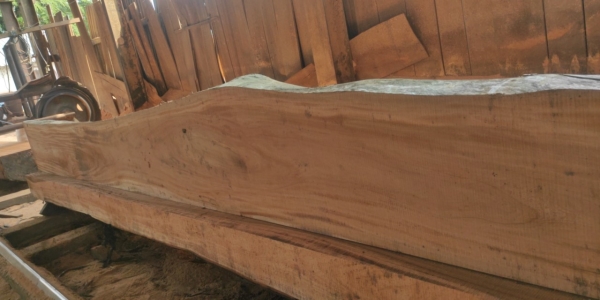 Gỗ tự nhiên