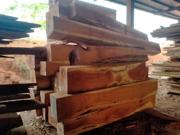 Gỗ tự nhiên