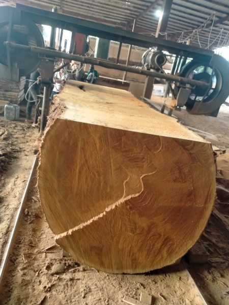 Gỗ tự nhiên