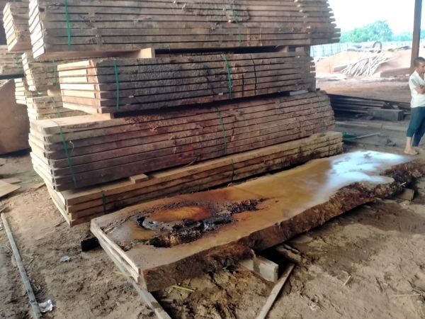 Gỗ tự nhiên