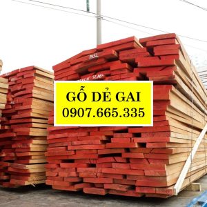 Gỗ dẻ gai beech