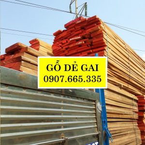 Gỗ dẻ gai beech