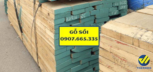 Gỗ sồi Châu Âu 32mm