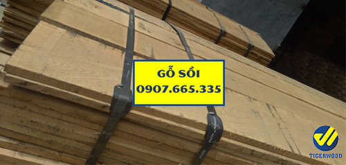 Gỗ sồi Châu Âu 51mm
