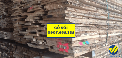 Gỗ sồi Mỹ 19mm