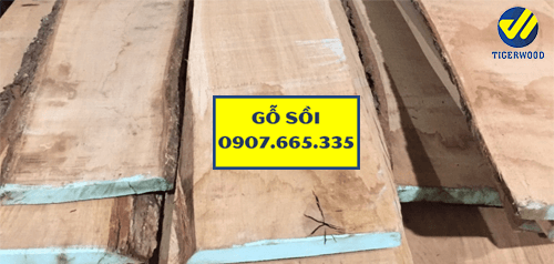 Gỗ sồi Mỹ