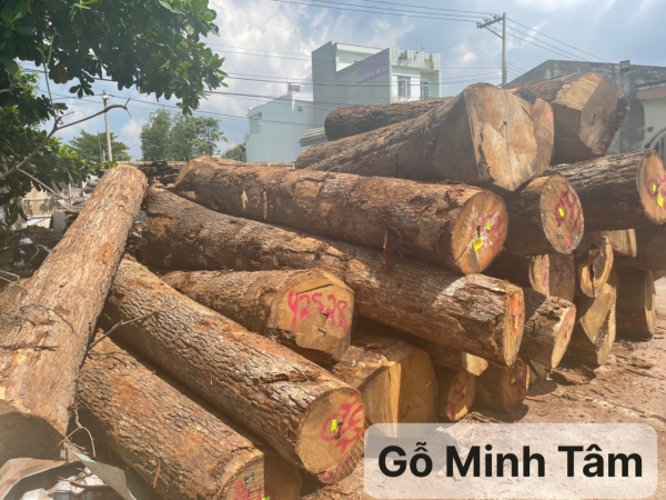 Gỗ sồi tròn