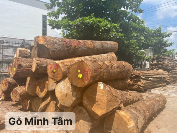 Gỗ sồi tròn