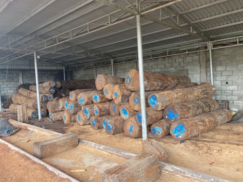 Gỗ sồi tròn