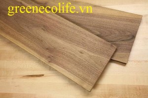 Gỗ sồi trắng