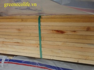 Gỗ tần bì
