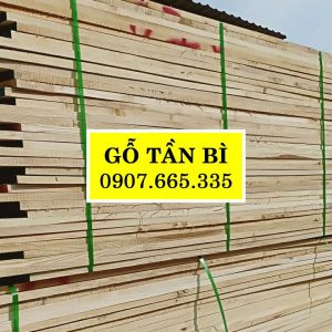 Gỗ tần bì