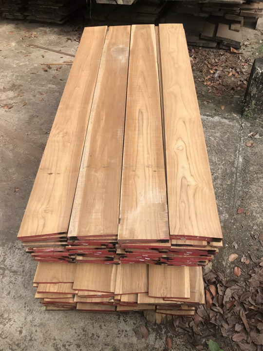 Gỗ giá tỵ