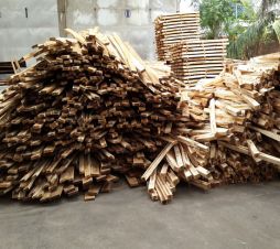 Gỗ tràm cưa, xẻ