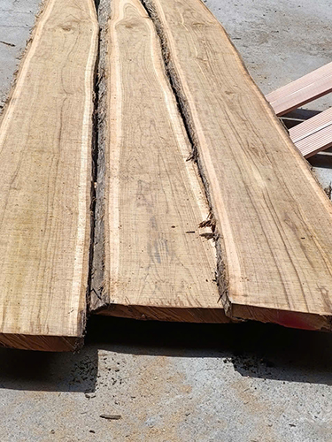 产品与服务