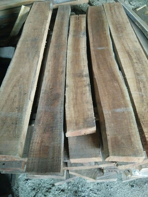 Gỗ xà cừ phách sấy khô