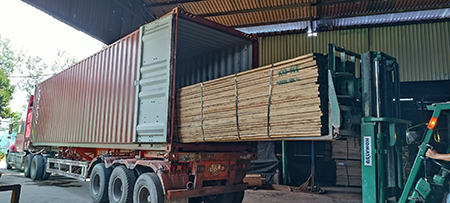 Gỗ xẻ nhập khẩu