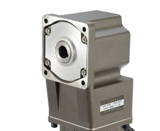 Động cơ điện mini (Mini Motor)