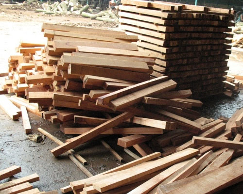 Gỗ cao su số lượng lớn