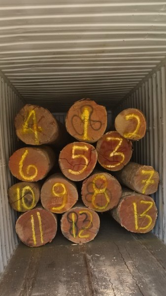 Gỗ hương Nam Mỹ