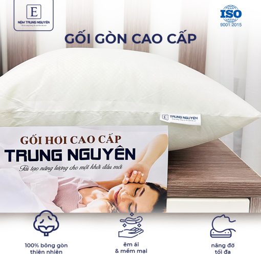 Gối nằm gòn Trung Nguyên
