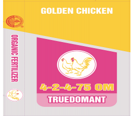Golden Chicken