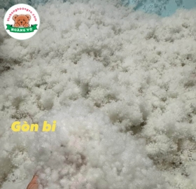 Gòn bi Hoàng Vũ