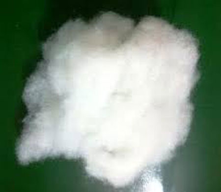 Bông gòn tơi