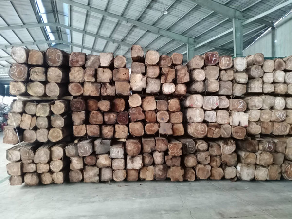 Gỗ giá tỵ