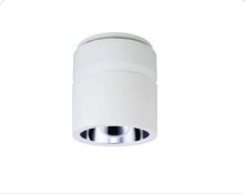 Đèn chiếu sáng Green Surface