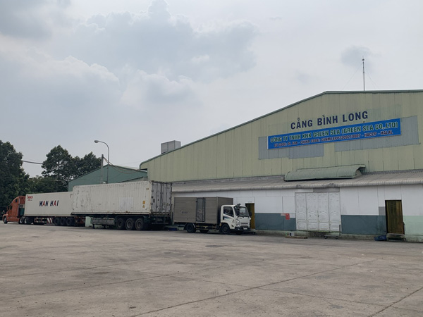 Gỗ sồi