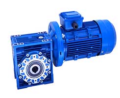 GT cốt âm