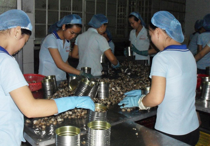 Hình ảnh nhà máy MMA