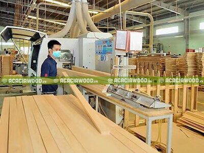 Hình ảnh công ty South Wind Coffee